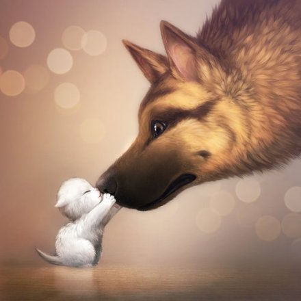 汪星人的治愈方法,不得不知的四个急救保命常识