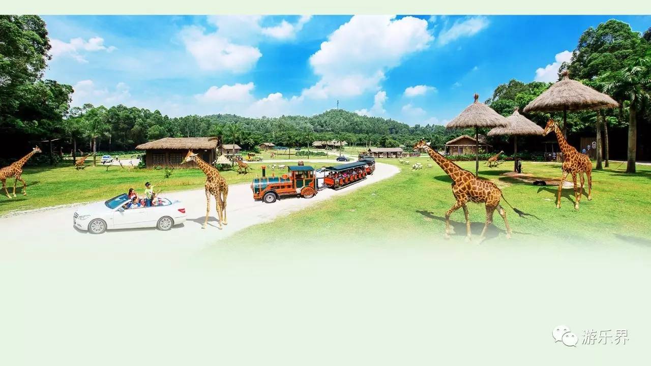 中国乐园大数据系列：广东省篇