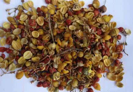 *欢合**花凋落太可惜，婆婆把它捡起来晒干，一斤价值90元！