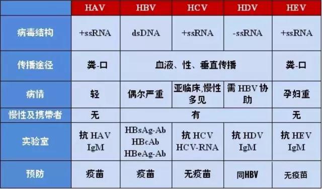 女朋友是乙肝病毒携带者,女朋友是乙肝患者我怎么办