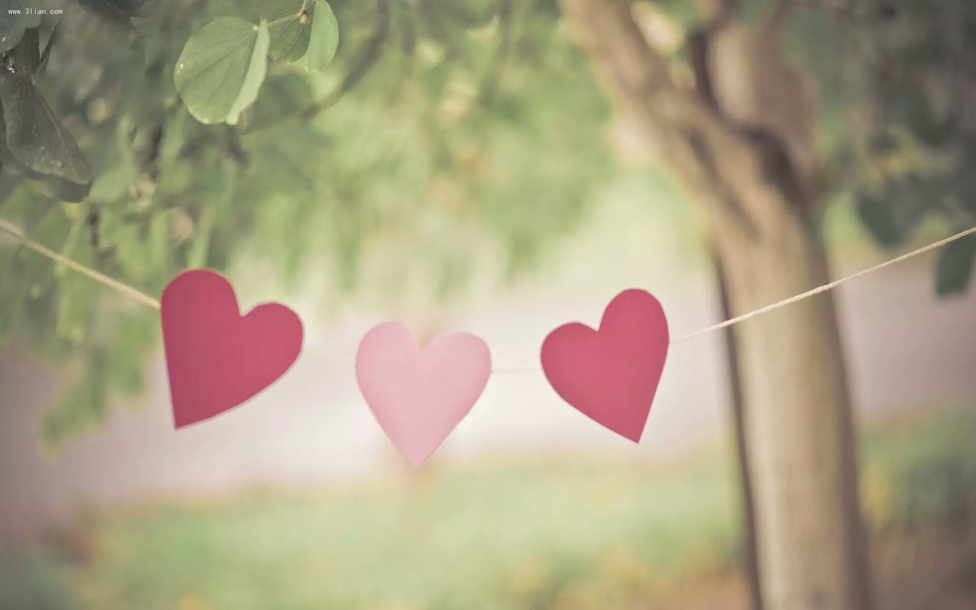 北京中青育才教育科技有限公司,中青育才创业方法