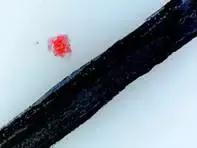 网红化妆产品测评,化妆棉推荐测评