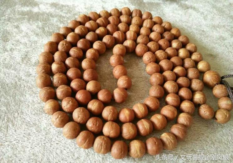 冒充凤眼菩提的核,凤眼菩提啥仿的