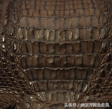 泰国鳄鱼皮具好用吗 (泰国的鳄鱼皮具)