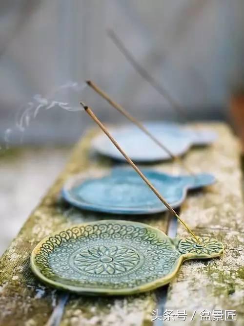 夏天招蚊子的绿植,绿植除虫小妙招