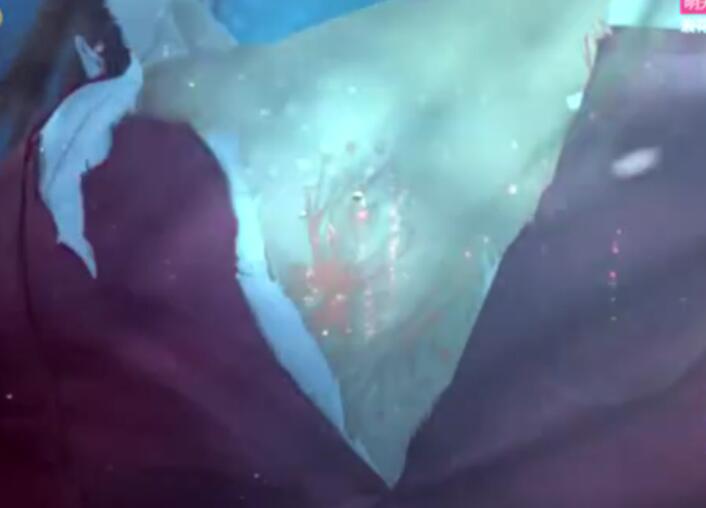 楚乔传大结局月七战死,楚乔传大结局宇文玥掉进冰河