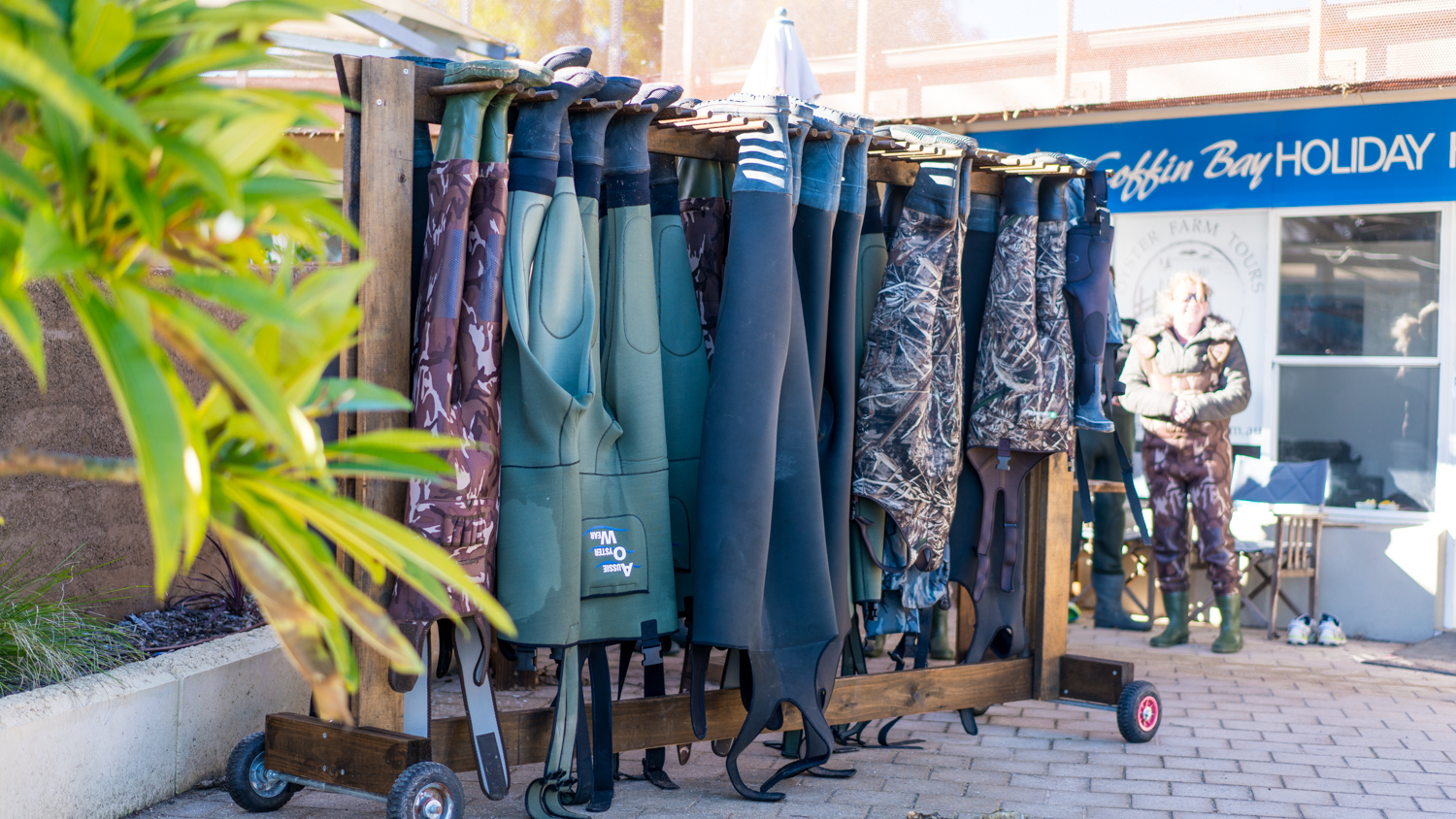 澳洲生蚝哪里最好,全球顶级生蚝多少钱一个