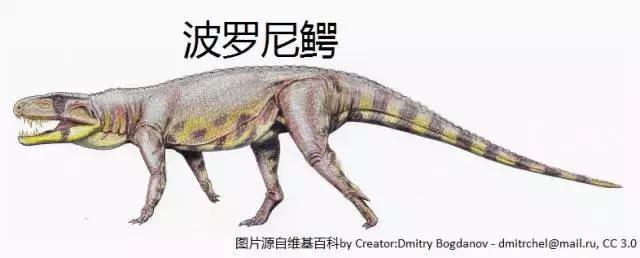 恐龙时期的恐鳄,恐龙时期的扬子鳄