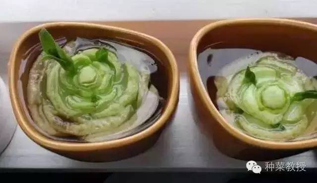 阳台种菜的土没有营养了怎么办,种子种菜阳台教程