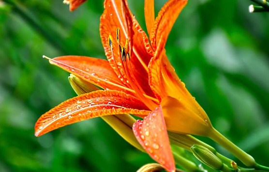 有个性的早安说说句句简短走心,早安语录励志点赞高的说说带图片