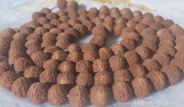 冒充凤眼菩提的核,凤眼菩提啥仿的