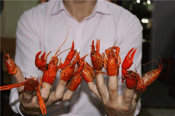 「“魏”资讯」论服务创新，我只服瑞贝卡大酒店