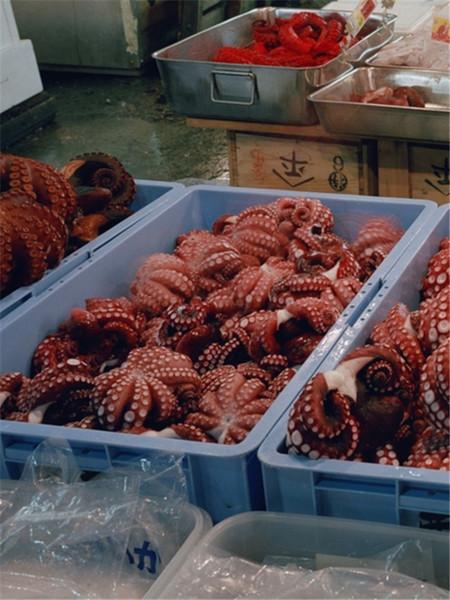 醋刷牙能使牙齿变白吗,经常用白醋刷牙对牙齿有害吗