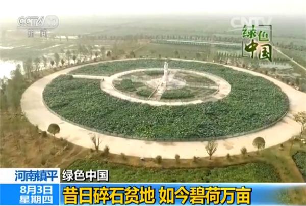 镇平万亩荷塘,镇平万亩荷塘博览园