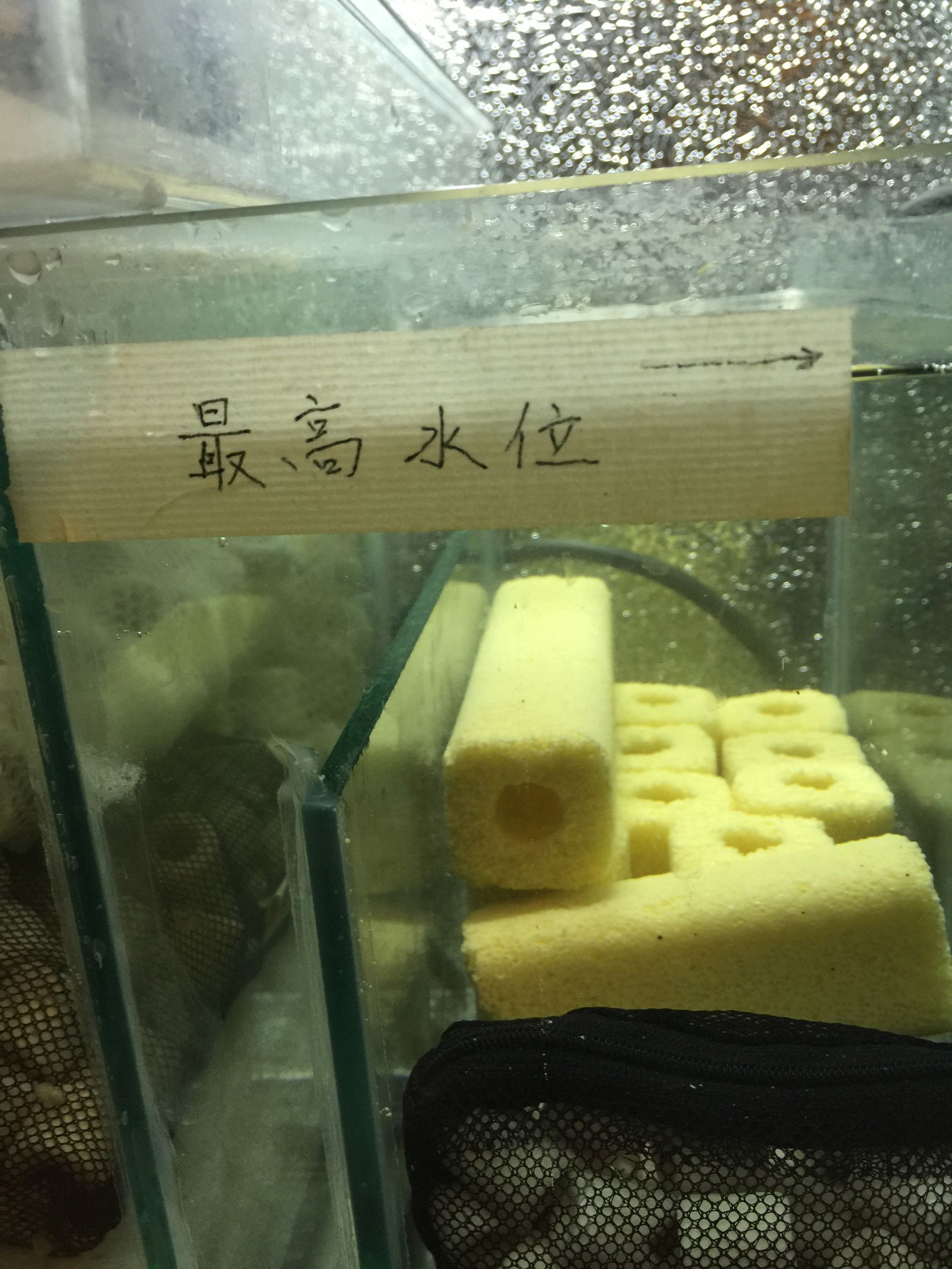 鱼缸diy用什么石头,鱼缸diy制作30元