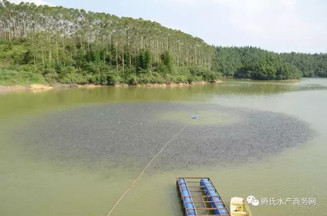 王维说虾-时间系列⑦｜8月改底看这里，掌握五类改底方法，你就是专家！