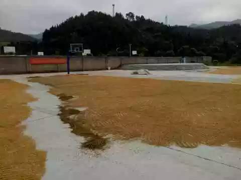 篮球场被占用了找什么部门,篮球场被霸占跳广场舞如何处理