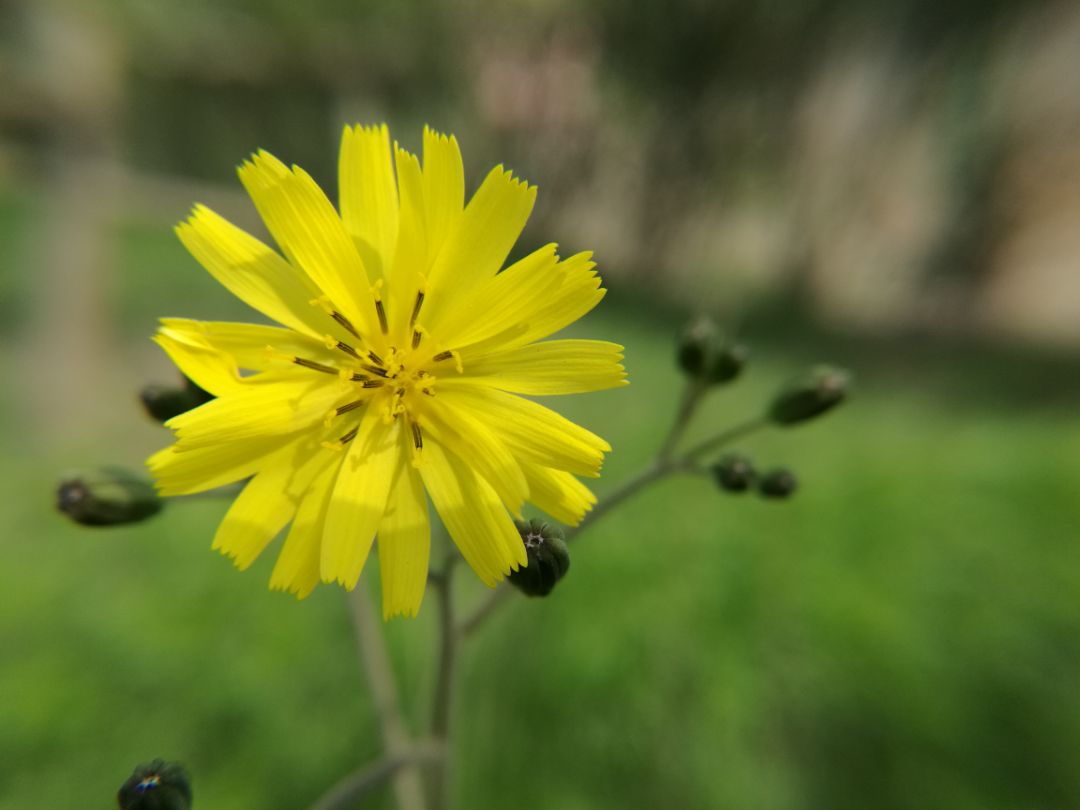 为什么男朋友不喜欢拍照,不会拍照的男朋友图片