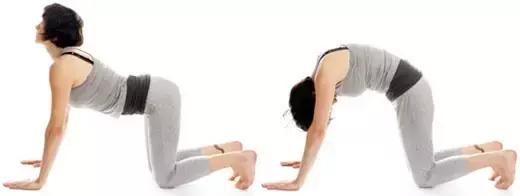 如何恢复脊柱灵活性,保持脊柱有弹性的秘诀