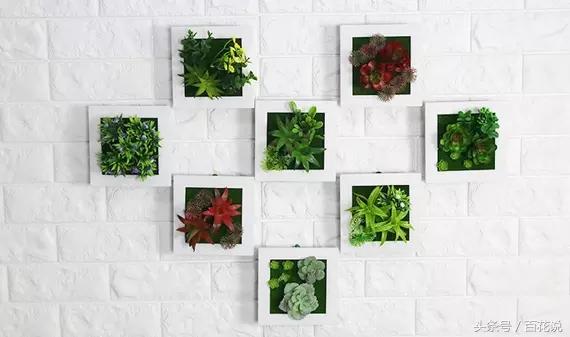 花艺师入门自学教程仿真花,花艺装饰花教程