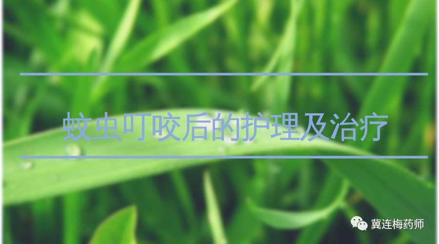 蚊虫叮咬后最佳处理方法,治疗蚊虫叮咬消肿止痒的药膏