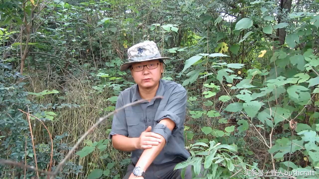 荒野求生徒手杀牛,荒野求生割生肉