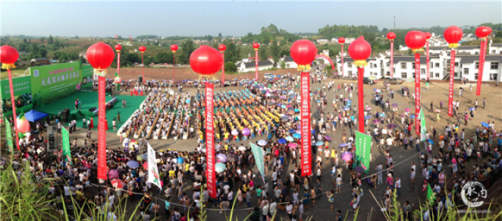 2020年威远无花果节,四川无花果节