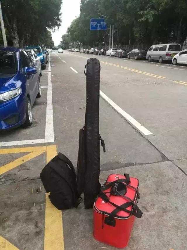 台山浪琴湾有藤壶吗,台山浪琴湾沙滩游泳