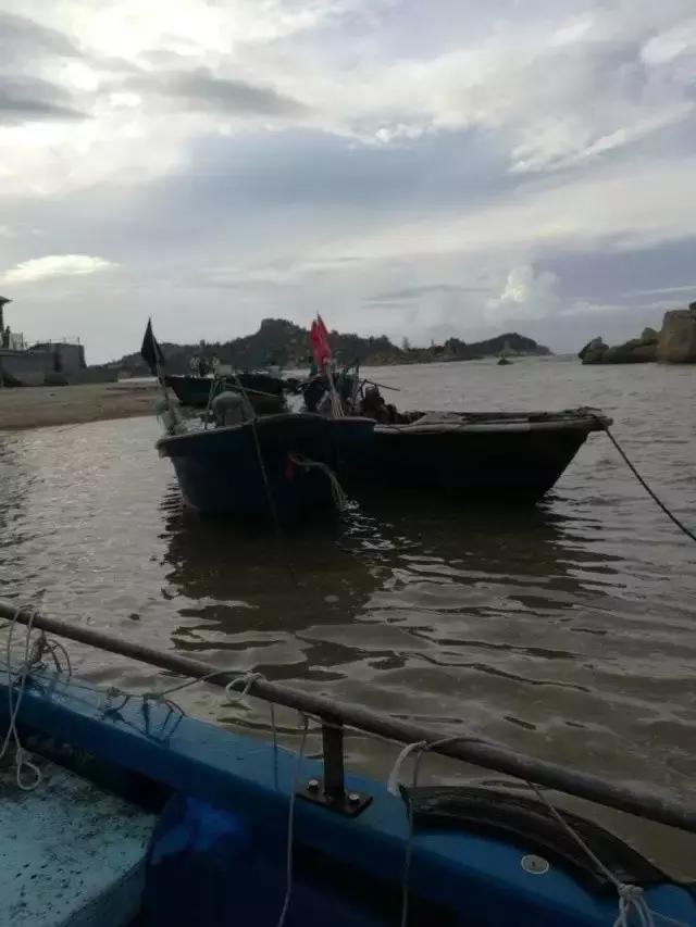 台山浪琴湾有藤壶吗,台山浪琴湾沙滩游泳