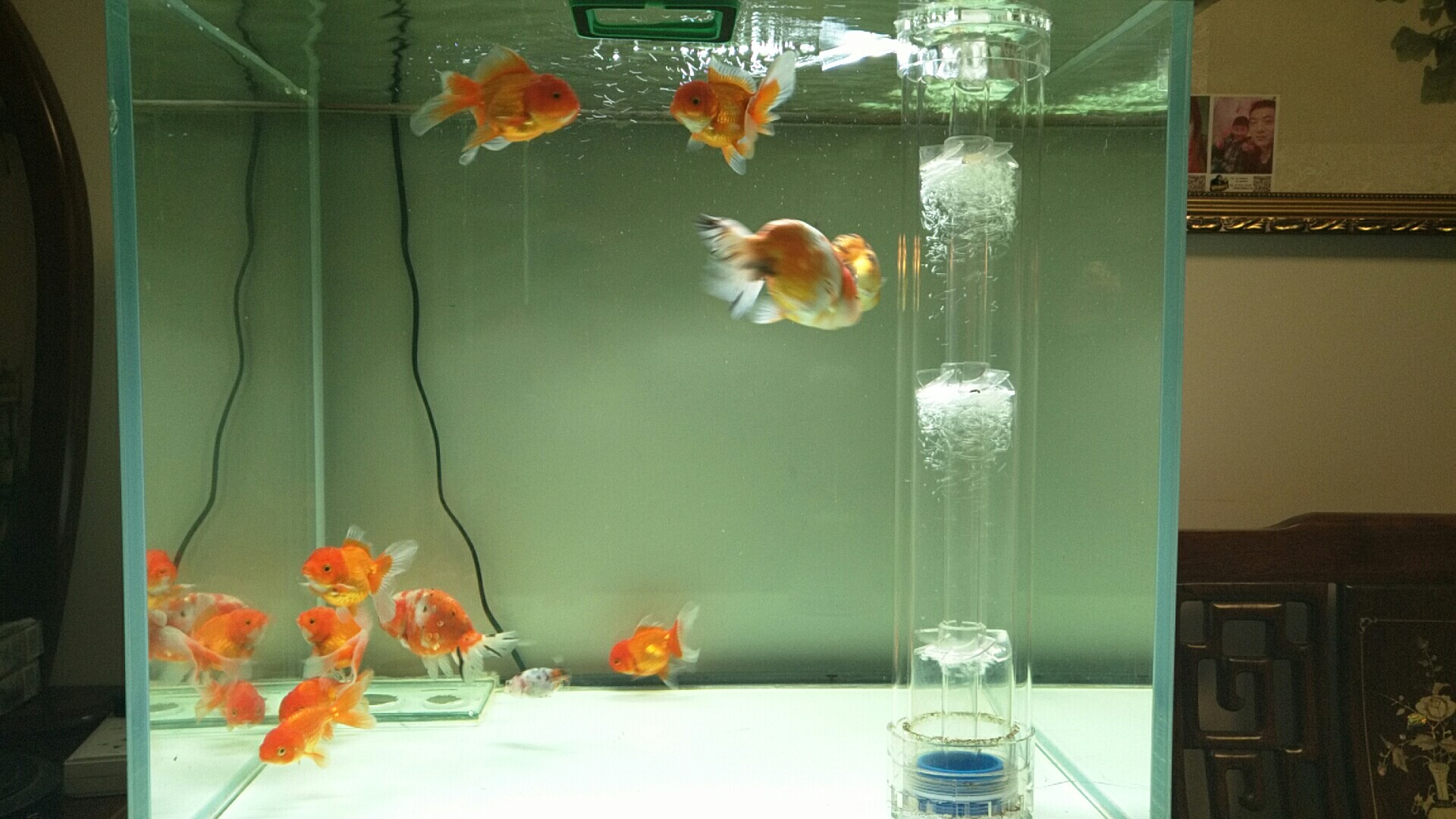 鱼缸diy用什么石头,鱼缸diy制作30元