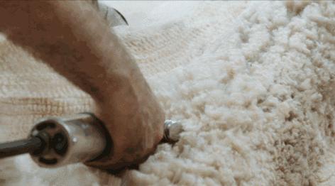 秘鲁神兽来袭,能给你的绝不只是表情包