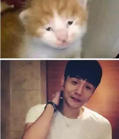 一大波表情包正在来袭,11月倒计时表情包