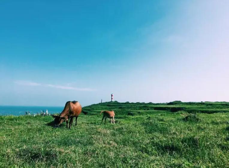 厦门海边民宿曾厝埯,厦门十大海边民宿