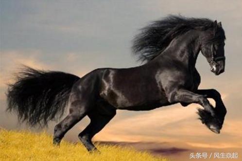 小市值证券股票一览表,小市值蓝筹股有哪些