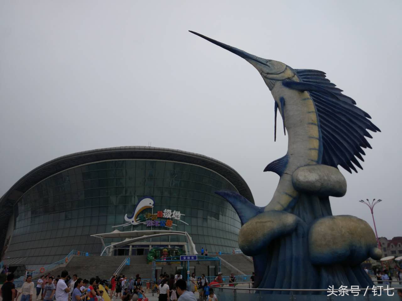 夏天与海绝配,夏天与海洋更配的图片