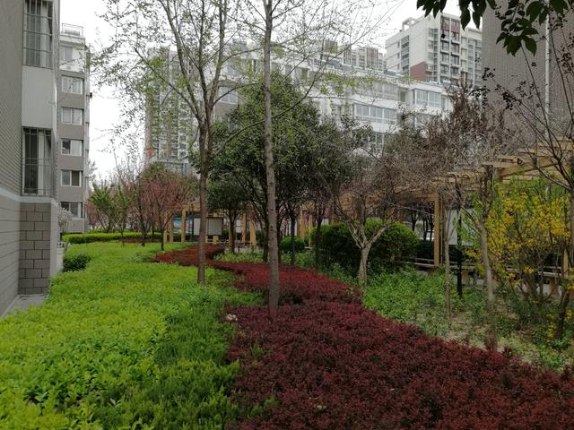 潍坊市圣基福安家园电梯,潍坊福安家园圣基铭座六楼价格