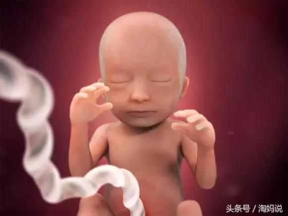 胎儿发育40周全过程注意事项,赞宝宝训练抬头的句子