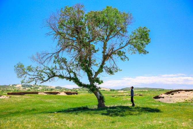 天堂草原锡林郭勒歌词及对白,真正的内蒙古锡林郭勒大草原