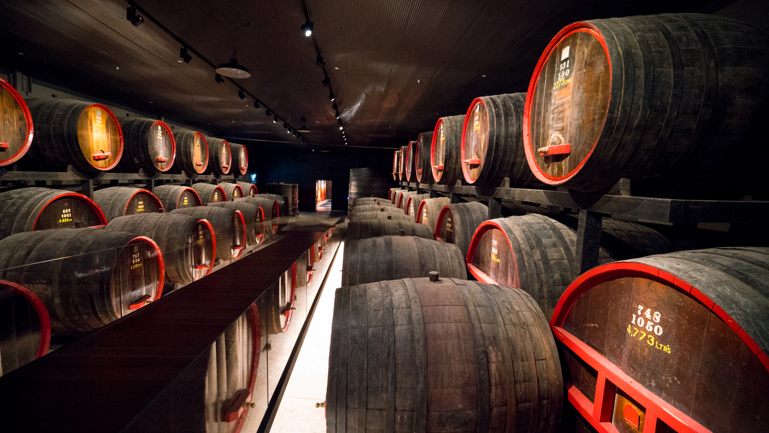 澳洲生蚝哪里最好,全球顶级生蚝多少钱一个