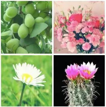 你的微信名透露了你的层次,你的微信名字暴露了你的一生