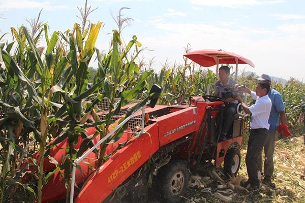 中型玉米收获机最新款价格,平原玉米脱粒机