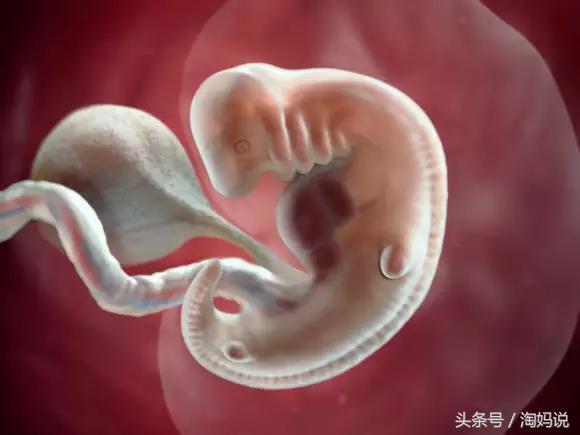 胎儿发育40周全过程注意事项,赞宝宝训练抬头的句子