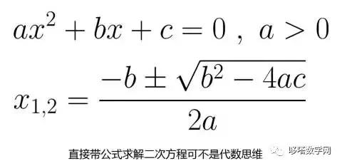 代数式用字母表示数,代数是函数和不等式吗