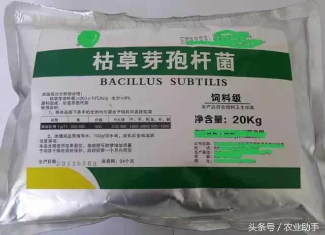 枯草芽孢杆菌能浇花吗,枯草芽孢杆菌生产方法