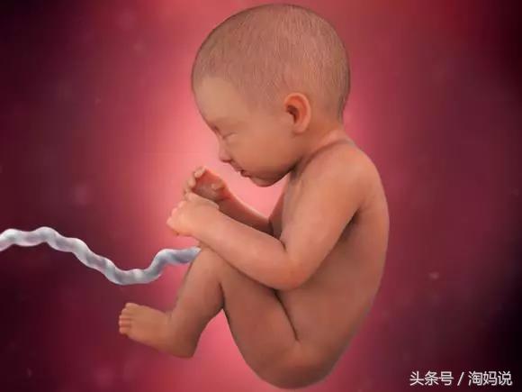 胎儿发育40周全过程注意事项,赞宝宝训练抬头的句子