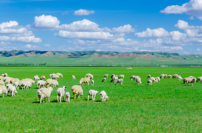 天堂草原锡林郭勒歌词及对白,真正的内蒙古锡林郭勒大草原