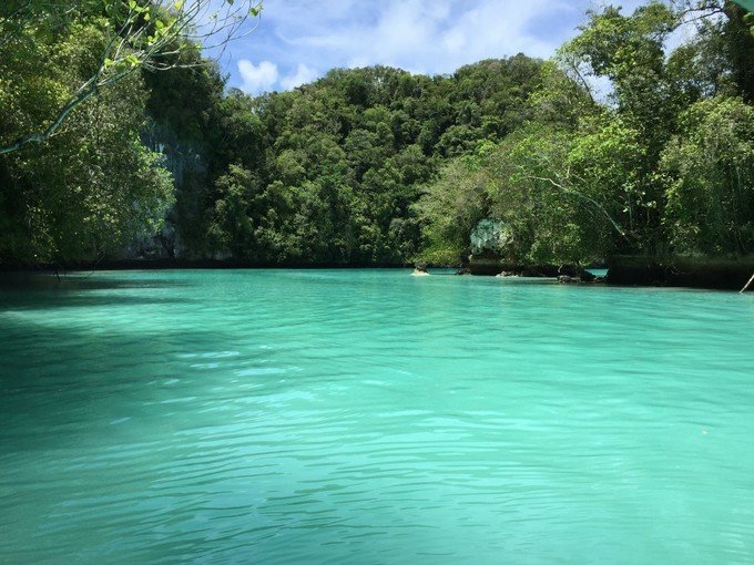 一起去帕劳旅游,去帕劳旅游自由行攻略