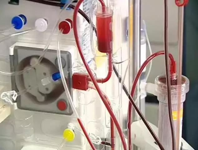 误食致死亡案例,误食家中常用物死亡案例