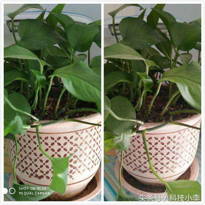 小米5x现在用起来卡吗,小米5x好用不