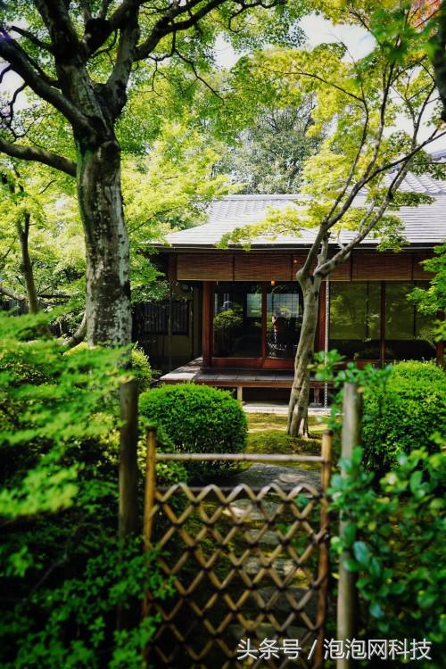 索尼微单a9最新消息,索尼a9新微单